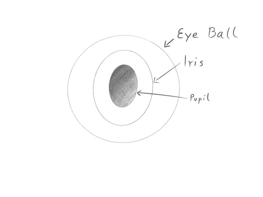 How To Draw Anime Eyes An Easy Comprehensive Tutorial